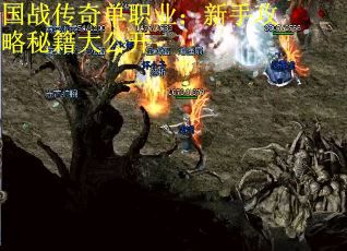 国战传奇单职业：新手攻略秘籍大公开