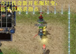 今日传奇新开私服轻变：新手攻略求指点