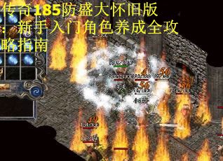 传奇185防盛大怀旧版：新手入门角色养成全攻略指南