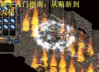 新手入门指南：从萌新到大秘