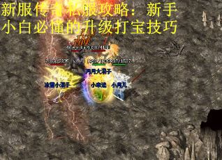 新服传奇私服攻略：新手小白必懂的升级打宝技巧