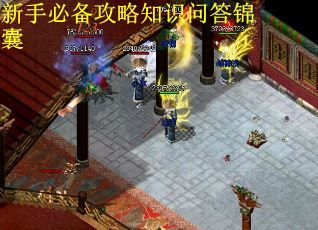 新手必备攻略知识问答锦囊