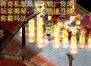 传奇私服最新下载：资深玩家揭秘，如何快速升级称霸玛法