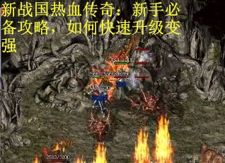 新战国热血传奇：新手必备攻略，如何快速升级变强