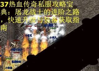 37热血传奇私服攻略宝典：屠龙战士的进阶之路，快速升级与装备获取指南