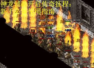 神龙辅助开启传奇征程：新手必备使用指南