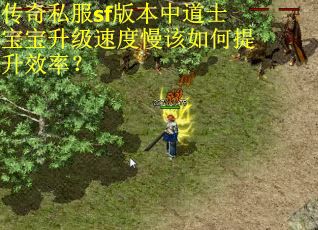 传奇私服sf版本中道士宝宝升级速度慢该如何提升效率？