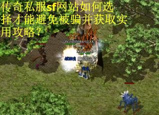 传奇私服sf网站如何选择才能避免被骗并获取实用攻略？