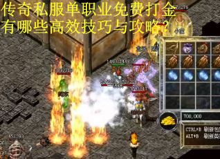 传奇私服单职业免费打金有哪些高效技巧与攻略？