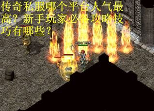 传奇私服哪个平台人气最高？新手玩家必备攻略技巧有哪些？