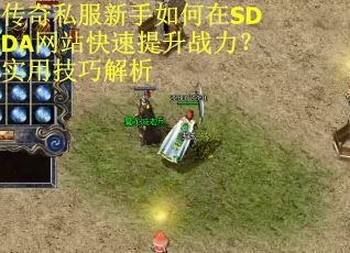 传奇私服新手如何在SDDA网站快速提升战力？实用技巧解析