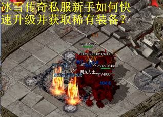 冰雪传奇私服新手如何快速升级并获取稀有装备? 冰雪传奇私服新手如何快速升级并获取稀有装备?