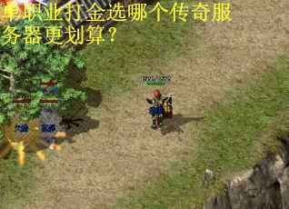 单职业打金选哪个传奇服务器更划算？