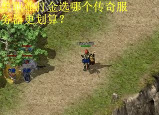 单职业打金选哪个传奇服务器更划算？