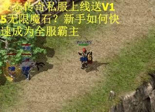 变态传奇私服上线送V15无限魔石?新手如何快速成为全服霸主 变态传奇私服上线送V15无限魔石?新手如何快速成为全服霸主
