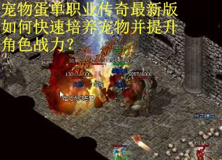 宠物蛋单职业传奇最新版如何快速培养宠物并提升角色战力？