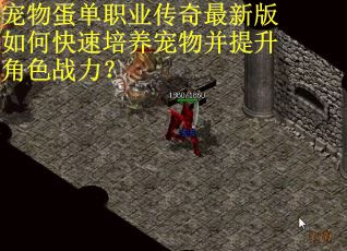 宠物蛋单职业传奇最新版如何快速培养宠物并提升角色战力？