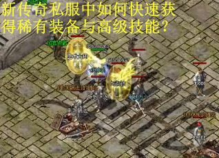 新传奇私服中如何快速获得稀有装备与高级技能？