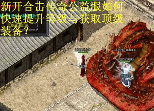 新开合击传奇公益服如何快速提升等级与获取顶级装备？