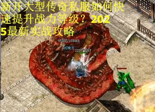 新开大型传奇私服如何快速提升战力等级？2025最新实战攻略