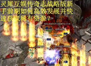 灵犀互娱传奇志战略版新手前期如何高效发展并快速获取稀有资源？