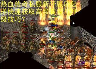 热血传奇私服新开服后怎样快速获取高级装备与升级技巧？