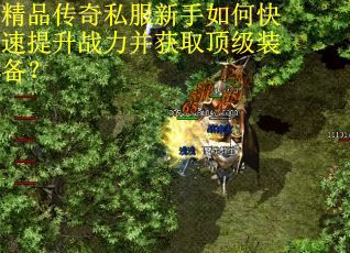 精品传奇私服新手如何快速提升战力并获取顶级装备？