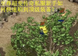 至尊超变传奇私服新手如何快速刷到顶级装备? 至尊超变传奇私服新手如何快速刷到顶级装备?