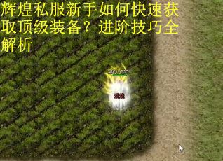 辉煌私服新手如何快速获取顶级装备?进阶技巧全解析 辉煌私服新手如何快速获取顶级装备?进阶技巧全解析