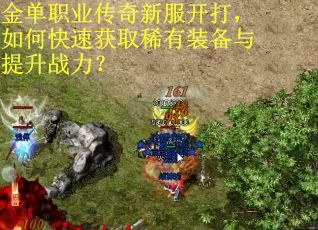金单职业传奇新服开打,如何快速获取稀有装备与提升战力? 金单职业传奇新服开打,如何快速获取稀有装备与提升战力?
