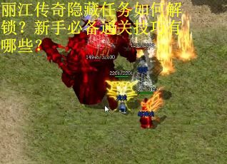 丽江传奇隐藏任务如何解锁？新手必备通关技巧有哪些？