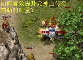 如何有效提升元神血传奇辅助的血量？