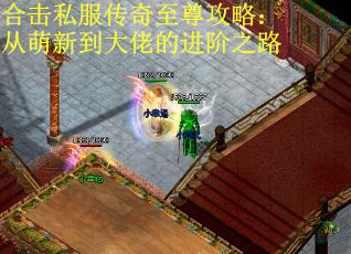 合击私服传奇至尊攻略：从萌新到大佬的进阶之路