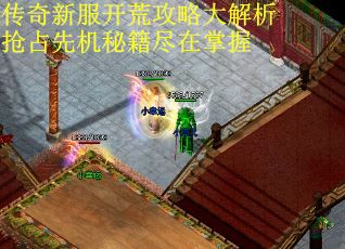 传奇新服开荒攻略大解析抢占先机秘籍尽在掌握
