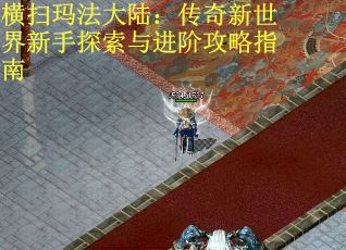 横扫玛法大陆：传奇新世界新手探索与进阶攻略指南