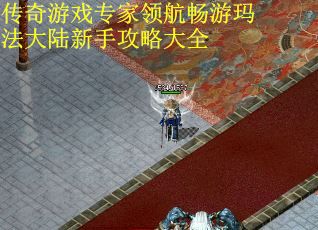 传奇游戏专家领航畅游玛法大陆新手攻略大全
