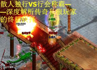 散人独行VS行会称霸——深度解析传奇私服玩家的终极抉择