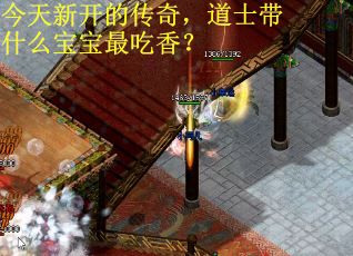 今天新开的传奇，道士带什么宝宝最吃香？
