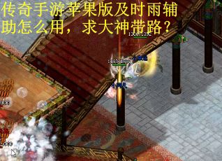 传奇手游苹果版及时雨辅助怎么用，求大神带路？