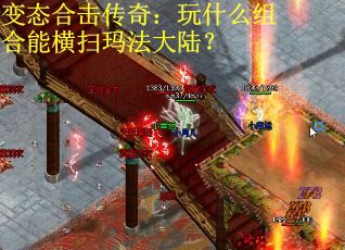 变态合击传奇：玩什么组合能横扫玛法大陆？