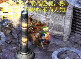小子传奇：菜鸟逆袭，称霸武林，有哪些不为人知的秘籍？