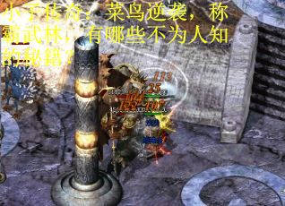 小子传奇：菜鸟逆袭，称霸武林，有哪些不为人知的秘籍？