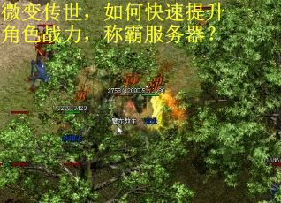 微变传世，如何快速提升角色战力，称霸服务器？