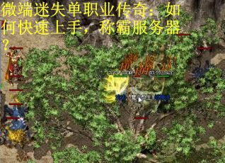 微端迷失单职业传奇：如何快速上手，称霸服务器？