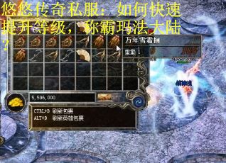 悠悠传奇私服：如何快速提升等级，称霸玛法大陆？