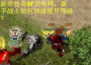 新开传奇SF发布网，新手战士如何快速提升等级？