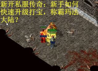 新开私服传奇：新手如何快速升级打宝，称霸玛法大陆？