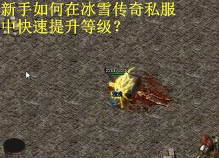 新手如何在冰雪传奇私服中快速提升等级？