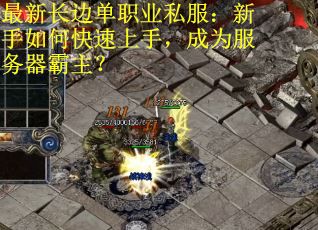 最新长边单职业私服：新手如何快速上手，成为服务器霸主？