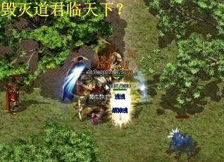 毁灭道君临天下？